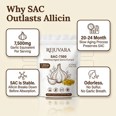 REJUVARA SAC-7500™ Aged Garlic Extract - 7500mg